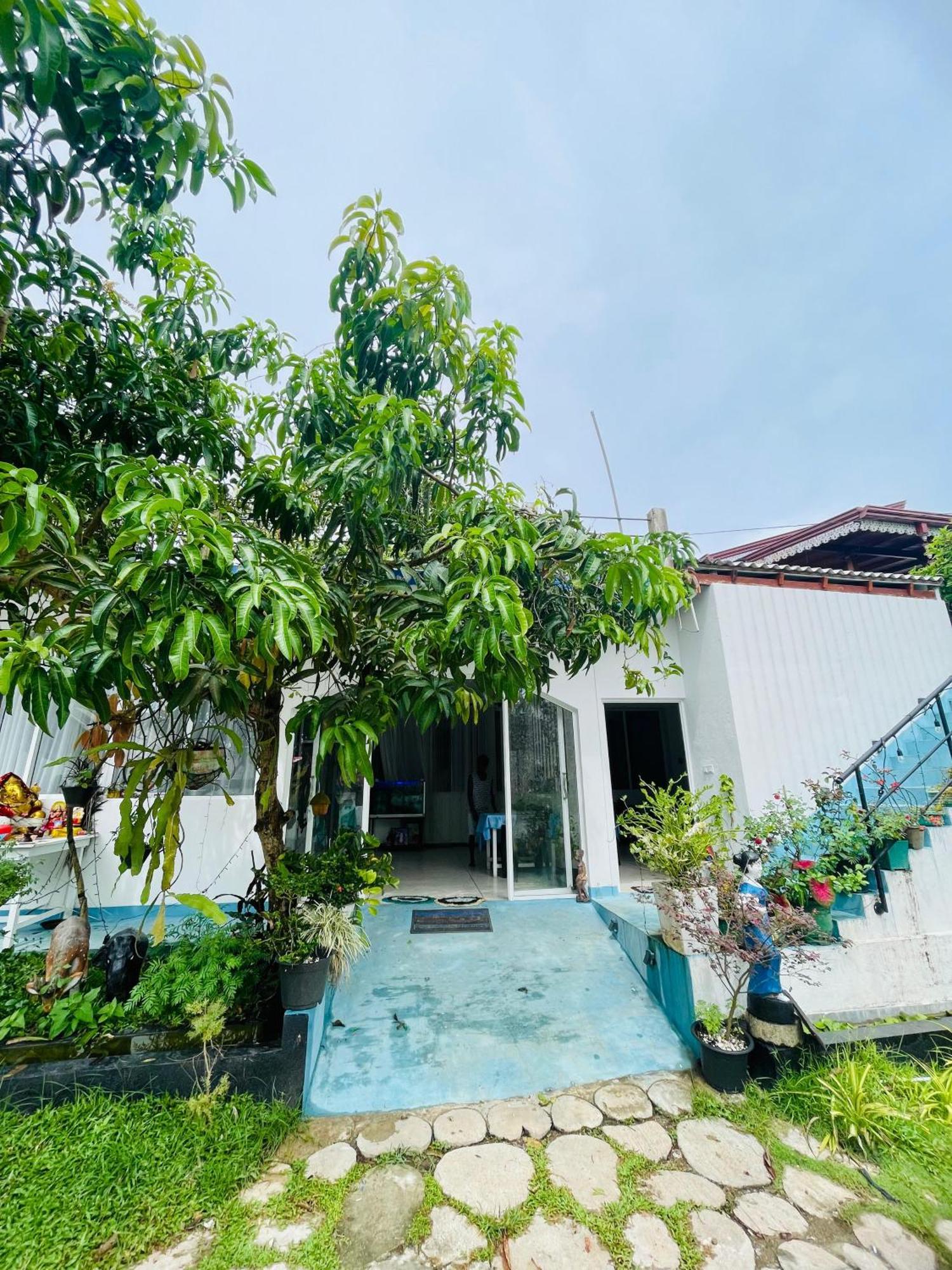 Bed and Breakfast Moon Light Guest Mirissa Exterior foto